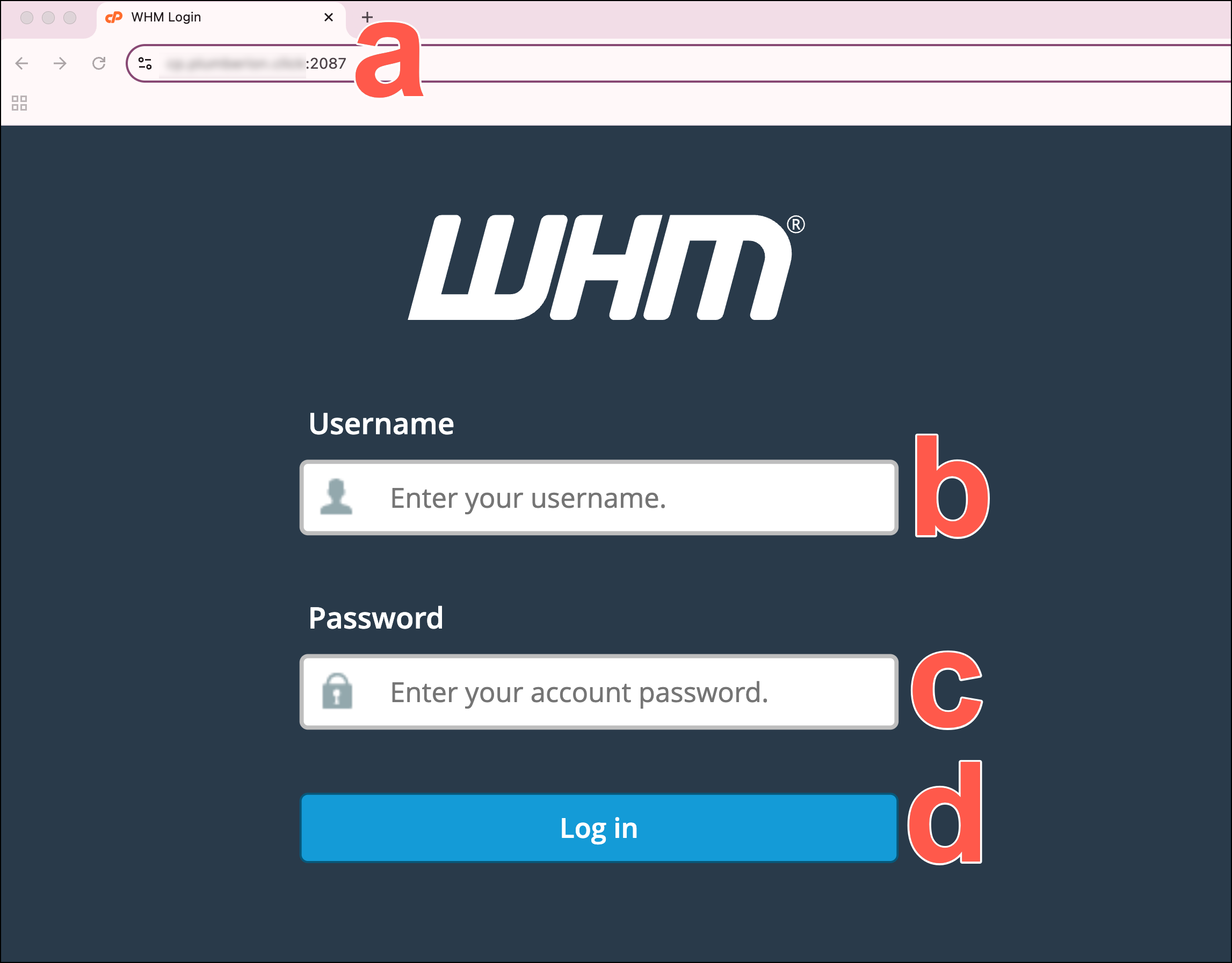 cpanel-2.png